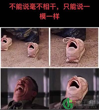 不能说毫无关系只能说一模一样什么梗
