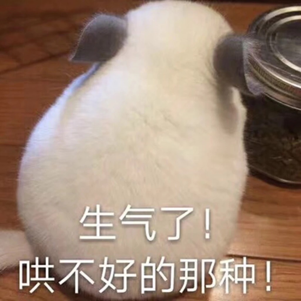 生气了！哄不好的那种！