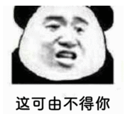 这可由不得你