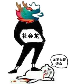 社会龙！龙王大哥饶命