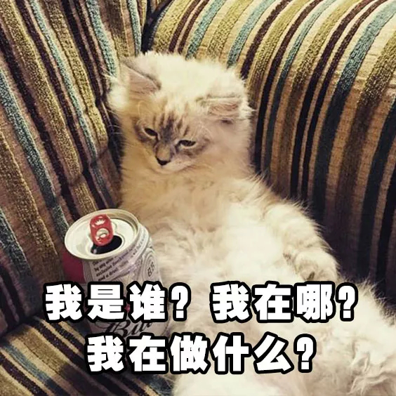 我是谁？在哪我在做什么2