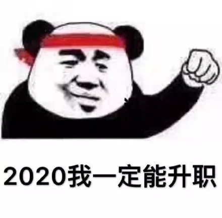 2020，我一定能升职