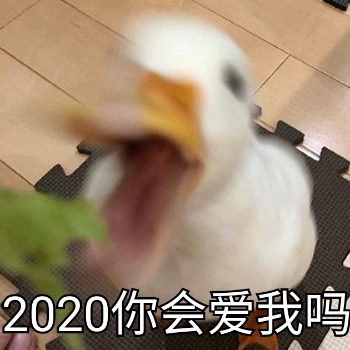 2020你会爱我吗？